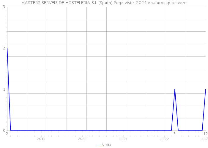 MASTERS SERVEIS DE HOSTELERIA S.L (Spain) Page visits 2024 