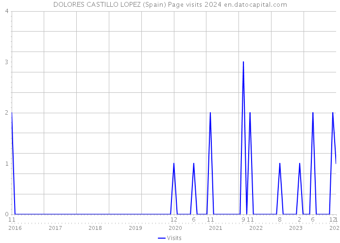 DOLORES CASTILLO LOPEZ (Spain) Page visits 2024 