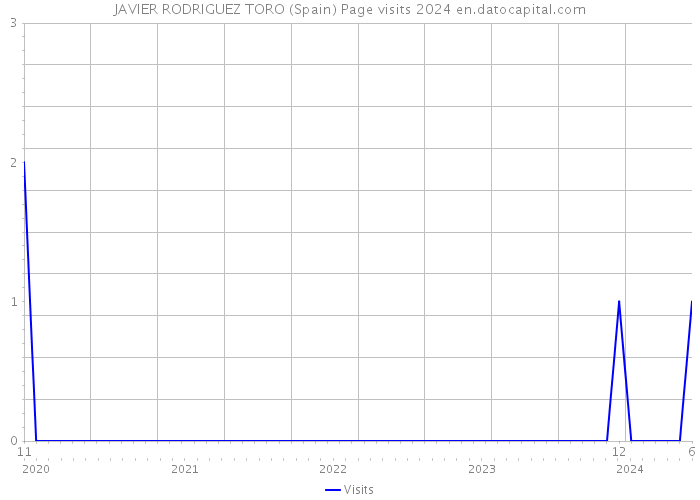 JAVIER RODRIGUEZ TORO (Spain) Page visits 2024 