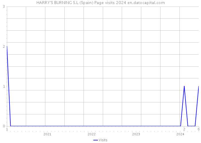 HARRY'S BURNING S.L (Spain) Page visits 2024 