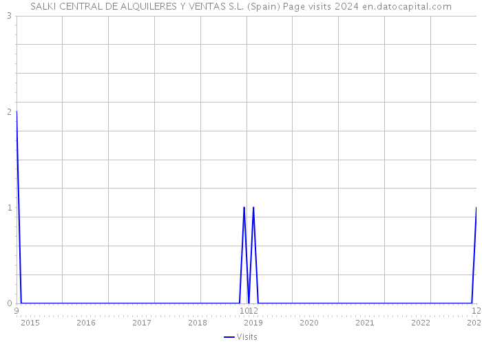 SALKI CENTRAL DE ALQUILERES Y VENTAS S.L. (Spain) Page visits 2024 