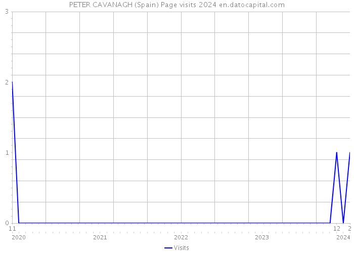 PETER CAVANAGH (Spain) Page visits 2024 