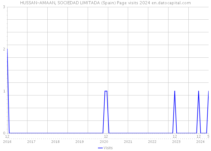 HUSSAN-AMAAN, SOCIEDAD LIMITADA (Spain) Page visits 2024 