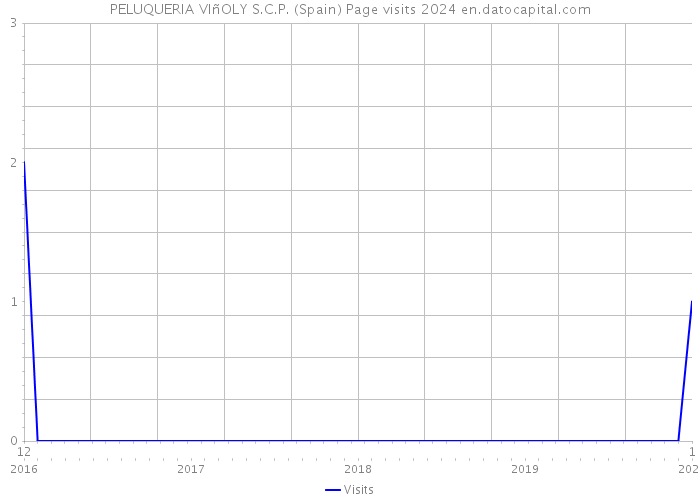 PELUQUERIA VIñOLY S.C.P. (Spain) Page visits 2024 