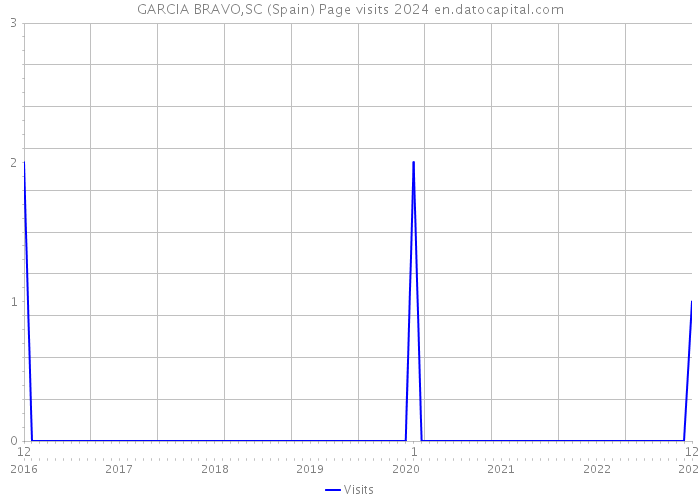 GARCIA BRAVO,SC (Spain) Page visits 2024 