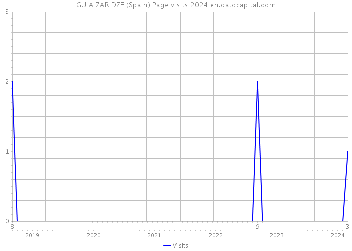 GUIA ZARIDZE (Spain) Page visits 2024 