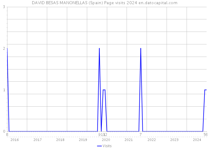 DAVID BESAS MANONELLAS (Spain) Page visits 2024 