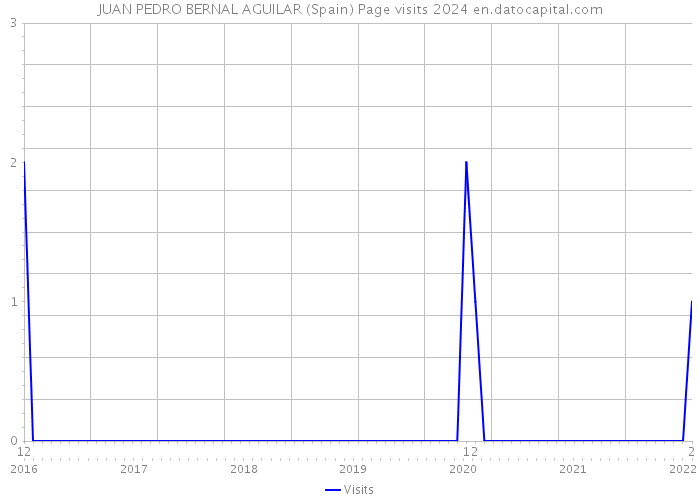 JUAN PEDRO BERNAL AGUILAR (Spain) Page visits 2024 