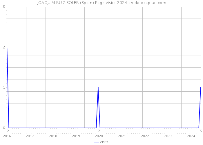 JOAQUIM RUIZ SOLER (Spain) Page visits 2024 