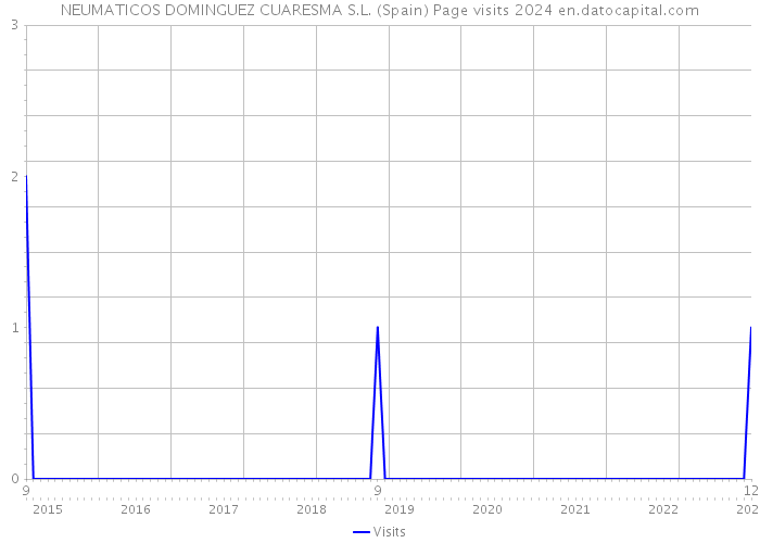 NEUMATICOS DOMINGUEZ CUARESMA S.L. (Spain) Page visits 2024 