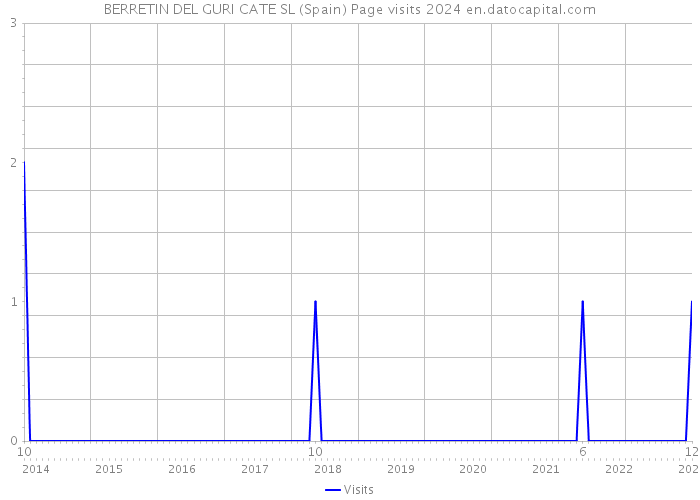 BERRETIN DEL GURI CATE SL (Spain) Page visits 2024 
