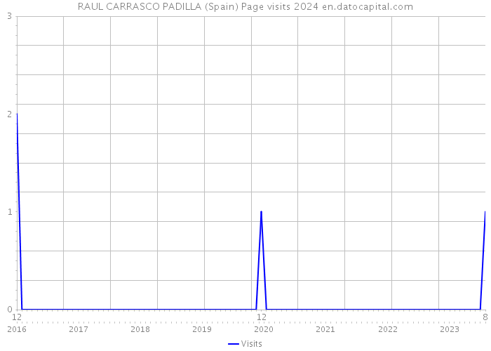 RAUL CARRASCO PADILLA (Spain) Page visits 2024 