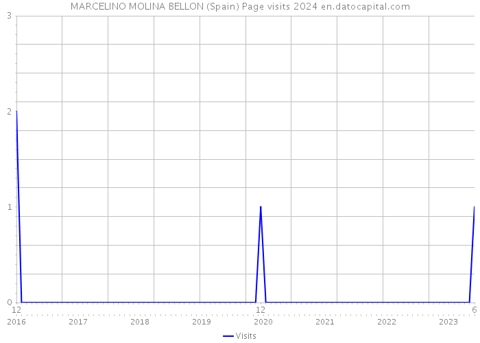 MARCELINO MOLINA BELLON (Spain) Page visits 2024 