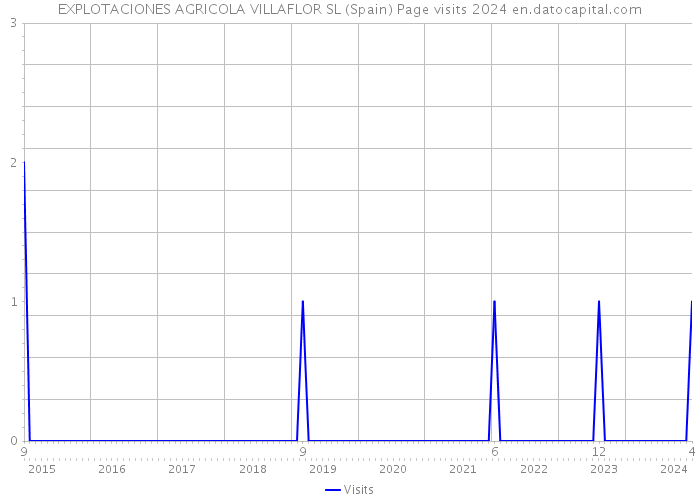 EXPLOTACIONES AGRICOLA VILLAFLOR SL (Spain) Page visits 2024 