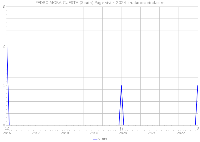 PEDRO MORA CUESTA (Spain) Page visits 2024 