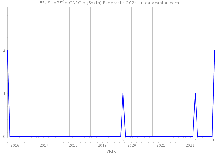 JESUS LAPEÑA GARCIA (Spain) Page visits 2024 