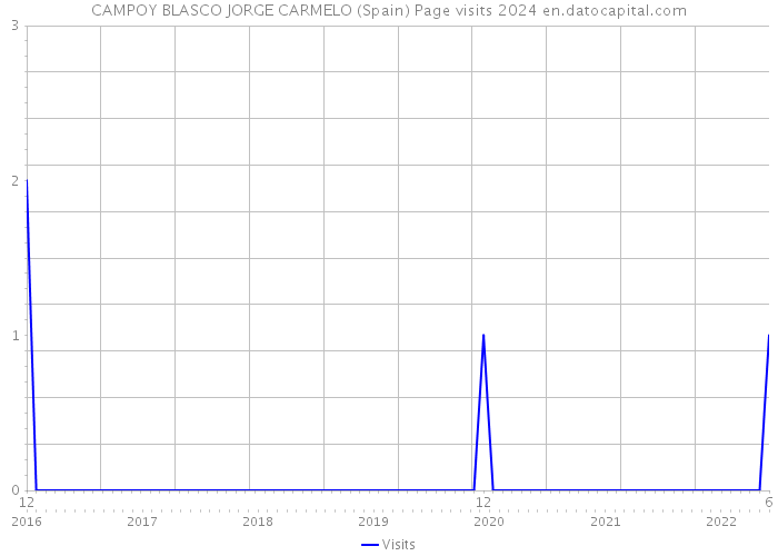 CAMPOY BLASCO JORGE CARMELO (Spain) Page visits 2024 