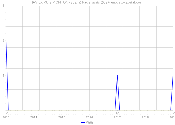 JAVIER RUIZ MONTON (Spain) Page visits 2024 