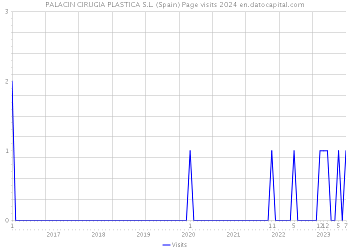 PALACIN CIRUGIA PLASTICA S.L. (Spain) Page visits 2024 