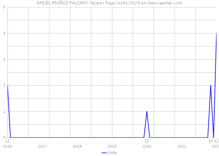 ANGEL MUÑOZ PALOMO (Spain) Page visits 2024 