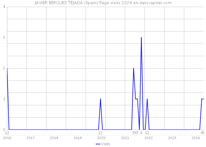 JAVIER BERGUES TEJADA (Spain) Page visits 2024 