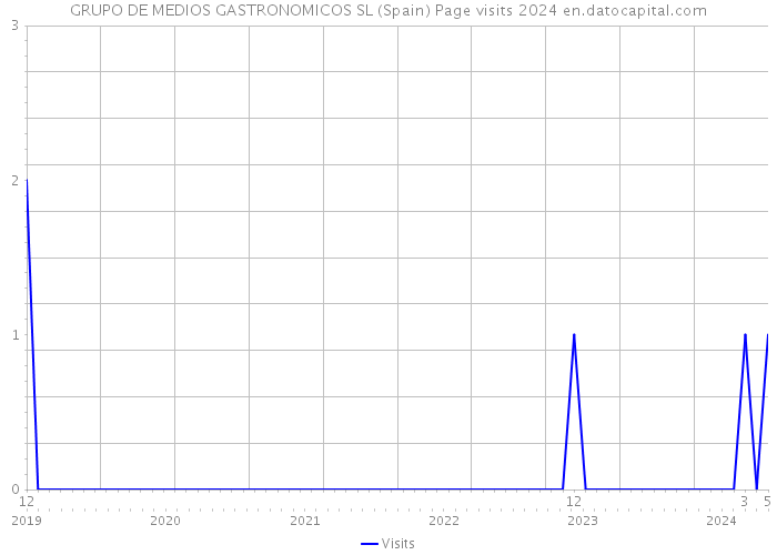 GRUPO DE MEDIOS GASTRONOMICOS SL (Spain) Page visits 2024 