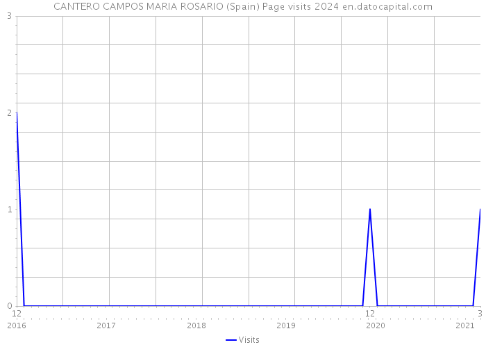 CANTERO CAMPOS MARIA ROSARIO (Spain) Page visits 2024 