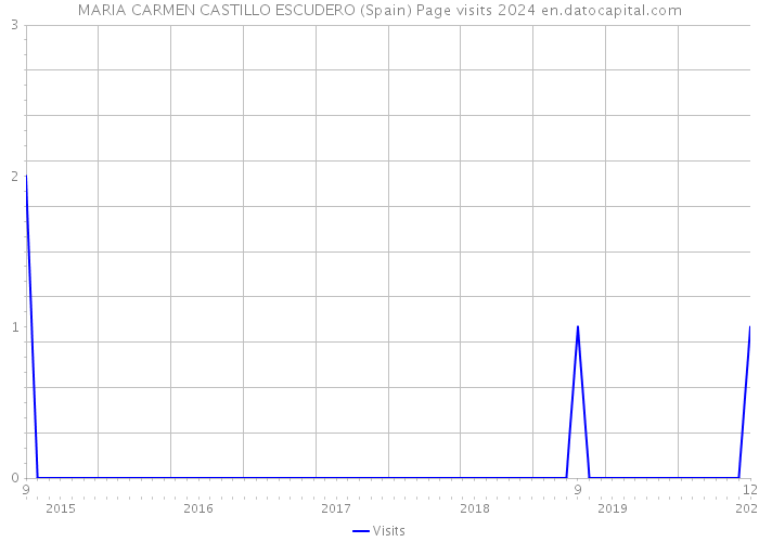 MARIA CARMEN CASTILLO ESCUDERO (Spain) Page visits 2024 