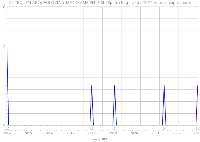 ANTEQUEM ARQUEOLOGIA Y MEDIO AMBIENTE SL (Spain) Page visits 2024 