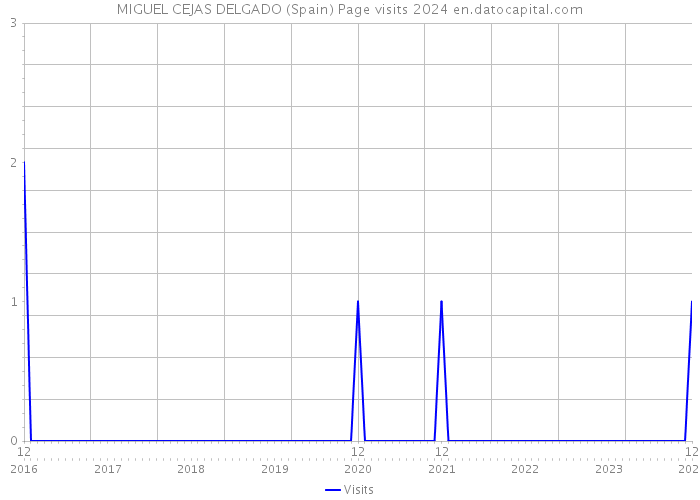 MIGUEL CEJAS DELGADO (Spain) Page visits 2024 