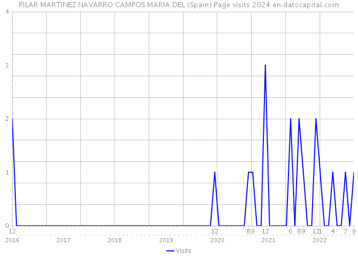 PILAR MARTINEZ NAVARRO CAMPOS MARIA DEL (Spain) Page visits 2024 