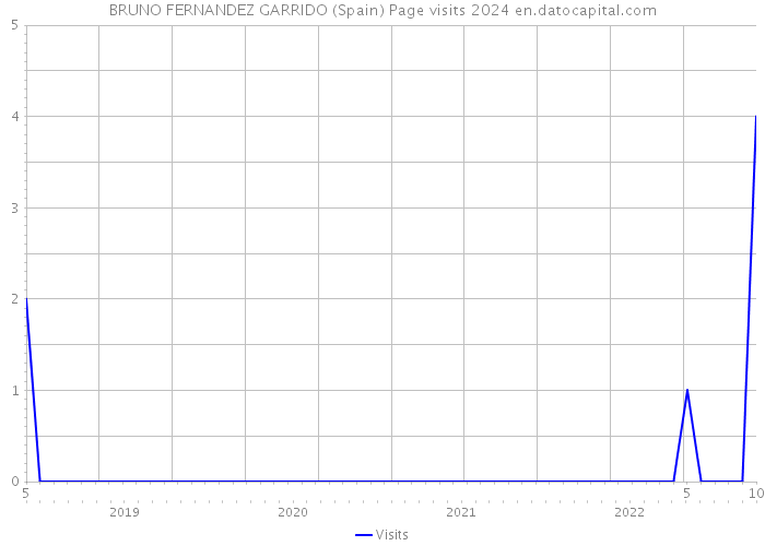 BRUNO FERNANDEZ GARRIDO (Spain) Page visits 2024 