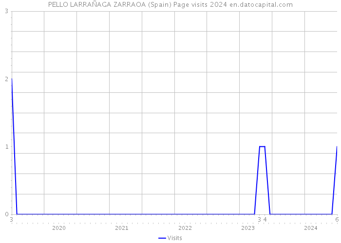 PELLO LARRAÑAGA ZARRAOA (Spain) Page visits 2024 