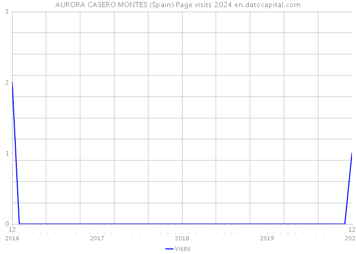 AURORA CASERO MONTES (Spain) Page visits 2024 