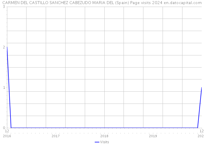 CARMEN DEL CASTILLO SANCHEZ CABEZUDO MARIA DEL (Spain) Page visits 2024 