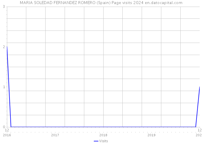 MARIA SOLEDAD FERNANDEZ ROMERO (Spain) Page visits 2024 