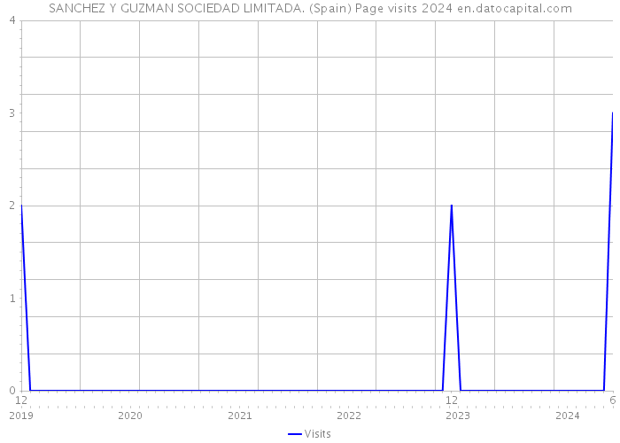 SANCHEZ Y GUZMAN SOCIEDAD LIMITADA. (Spain) Page visits 2024 