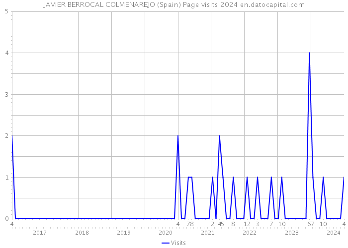 JAVIER BERROCAL COLMENAREJO (Spain) Page visits 2024 