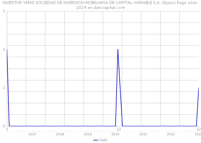 INVESTOR VM40 SOCIEDAD DE INVERSION MOBILIARIA DE CAPITAL VARIABLE S.A. (Spain) Page visits 2024 