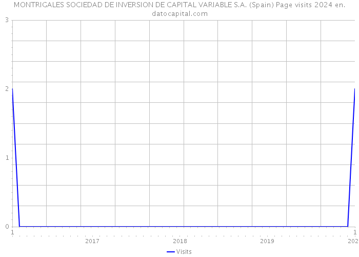 MONTRIGALES SOCIEDAD DE INVERSION DE CAPITAL VARIABLE S.A. (Spain) Page visits 2024 