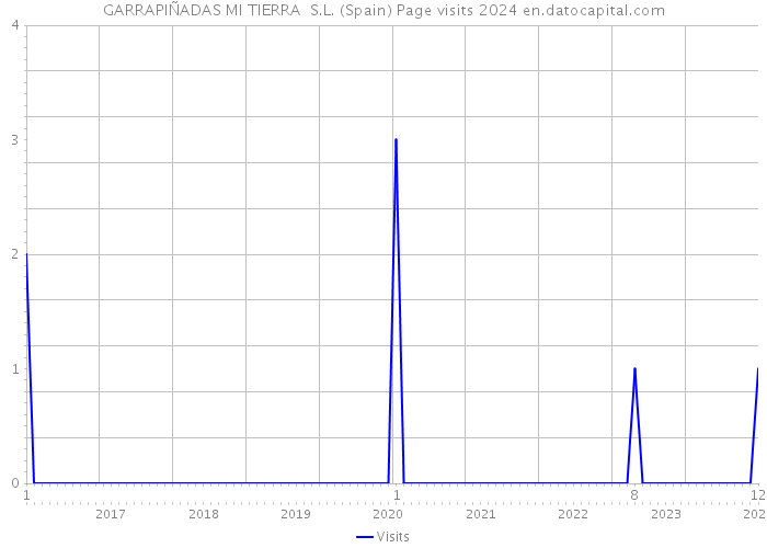 GARRAPIÑADAS MI TIERRA S.L. (Spain) Page visits 2024 