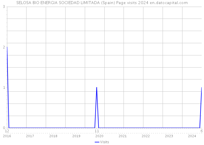 SELOSA BIO ENERGIA SOCIEDAD LIMITADA (Spain) Page visits 2024 