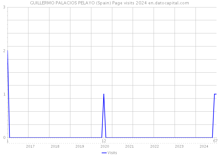 GUILLERMO PALACIOS PELAYO (Spain) Page visits 2024 