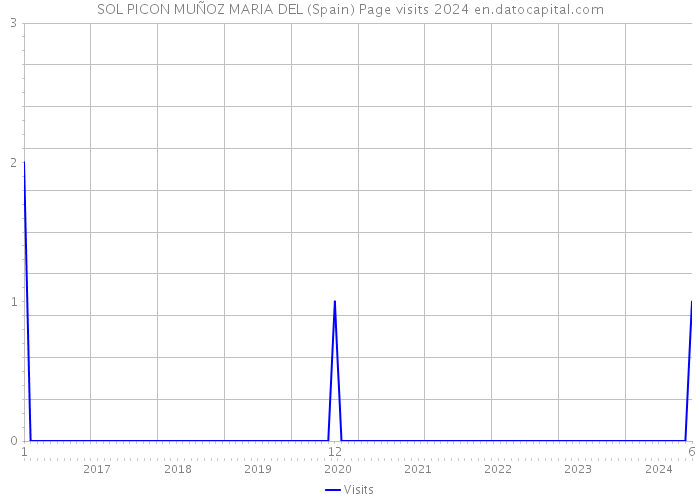 SOL PICON MUÑOZ MARIA DEL (Spain) Page visits 2024 