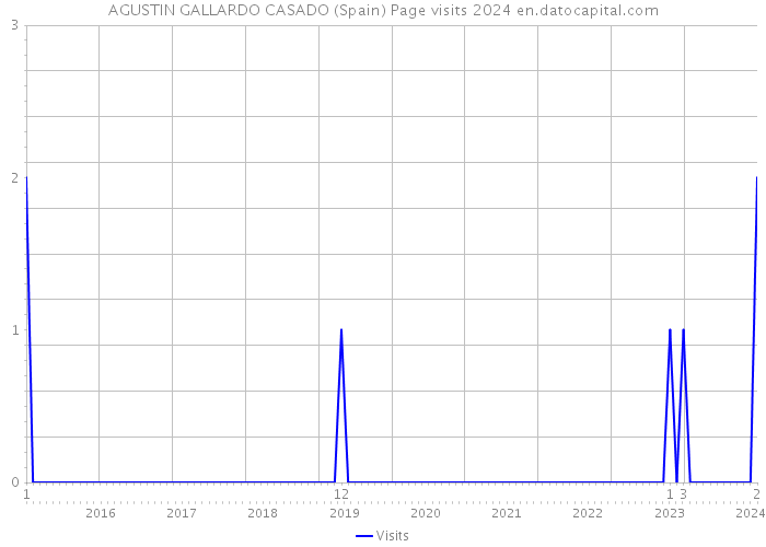 AGUSTIN GALLARDO CASADO (Spain) Page visits 2024 