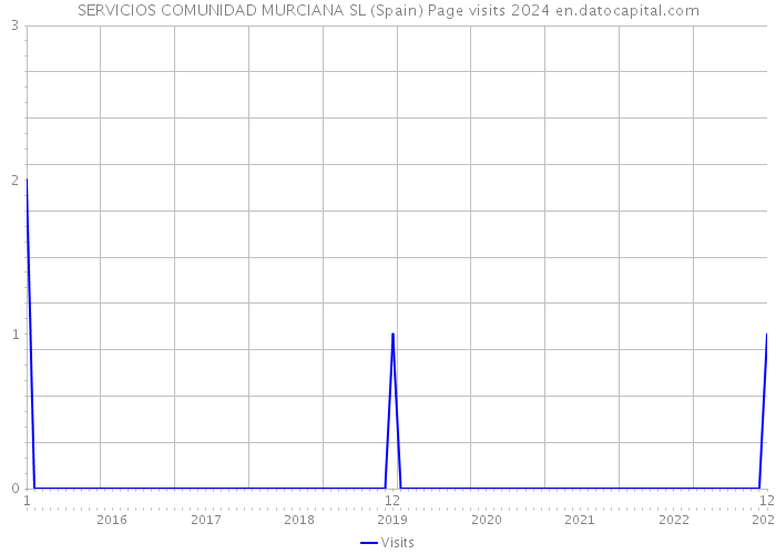 SERVICIOS COMUNIDAD MURCIANA SL (Spain) Page visits 2024 