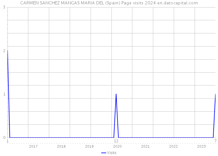 CARMEN SANCHEZ MANGAS MARIA DEL (Spain) Page visits 2024 