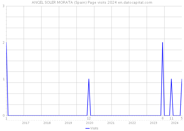 ANGEL SOLER MORATA (Spain) Page visits 2024 