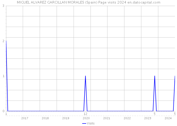 MIGUEL ALVAREZ GARCILLAN MORALES (Spain) Page visits 2024 