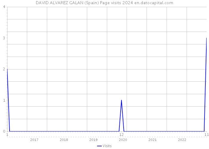 DAVID ALVAREZ GALAN (Spain) Page visits 2024 